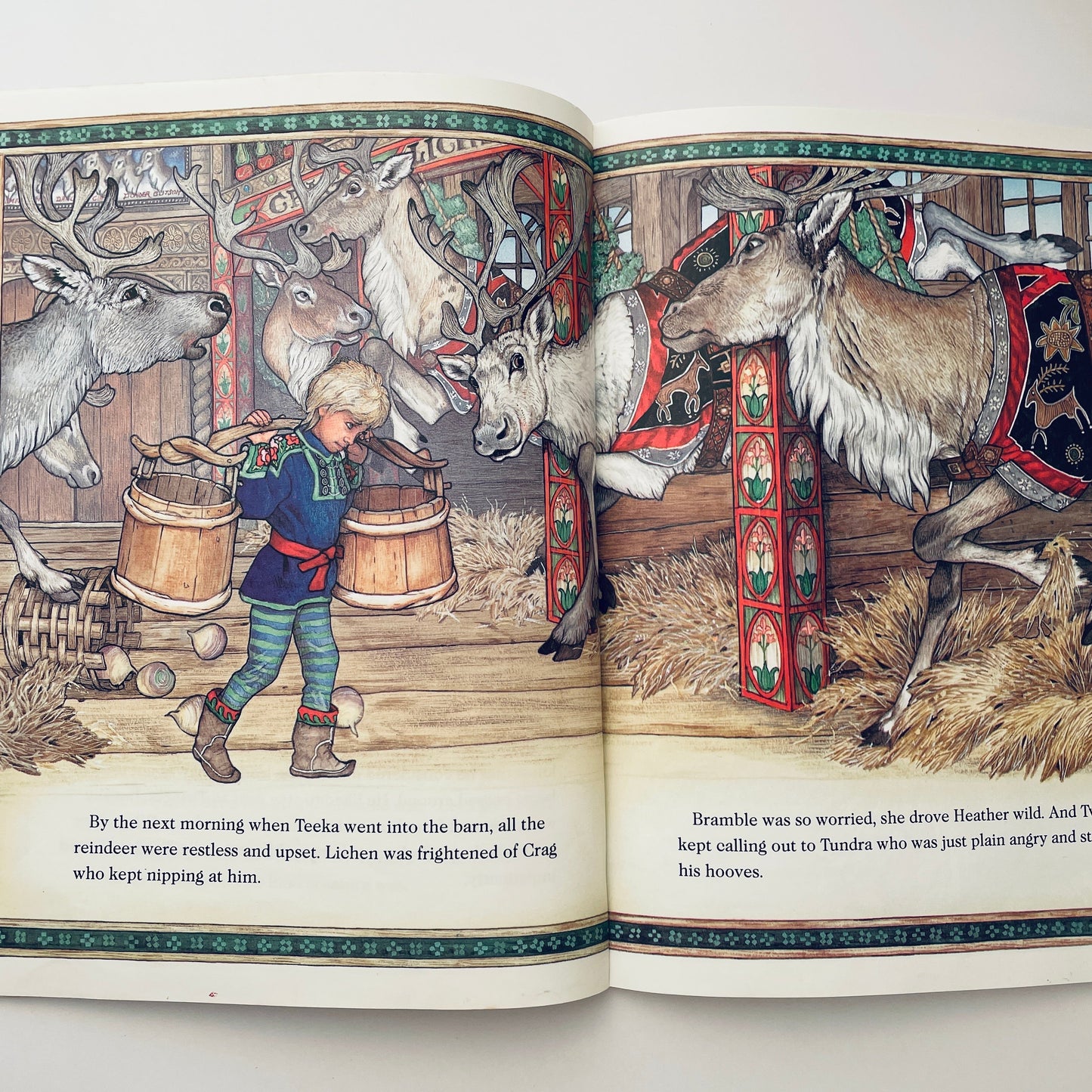 The Wild Christmas Reindeer