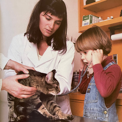 Taking My Cat to the Vet