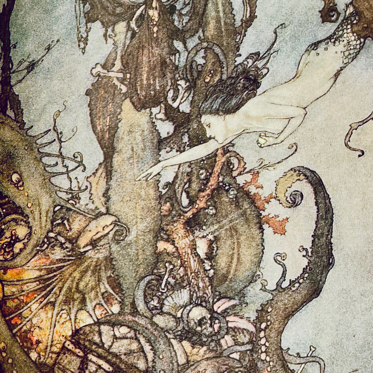 Fairy Tales from Hans Andersen A Classic Illustrated Edition