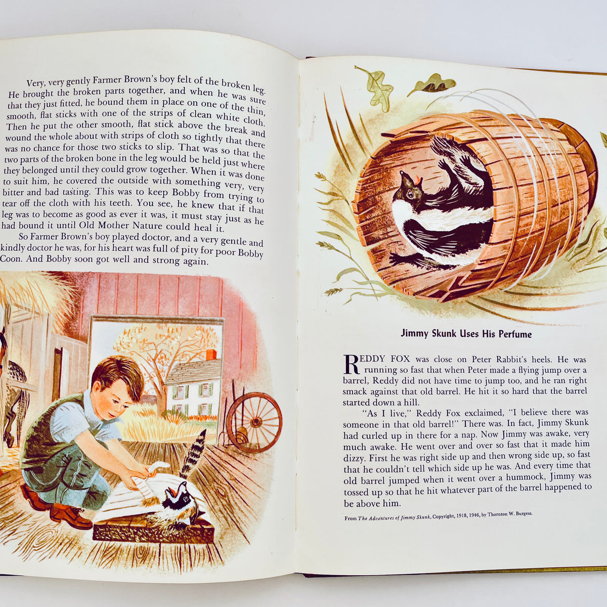 Thornton W. Burgess Bedtime Stories