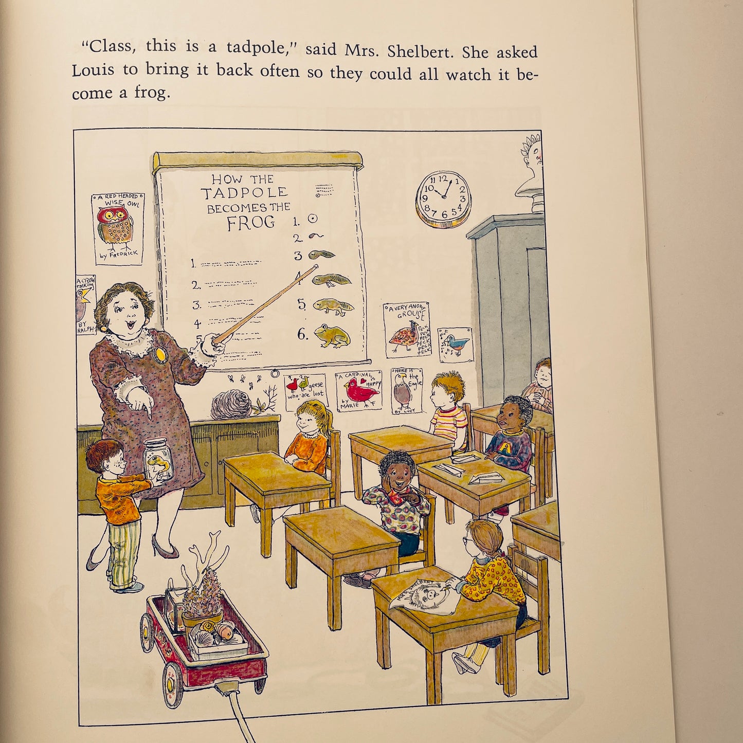 The Mysterious Tadpole