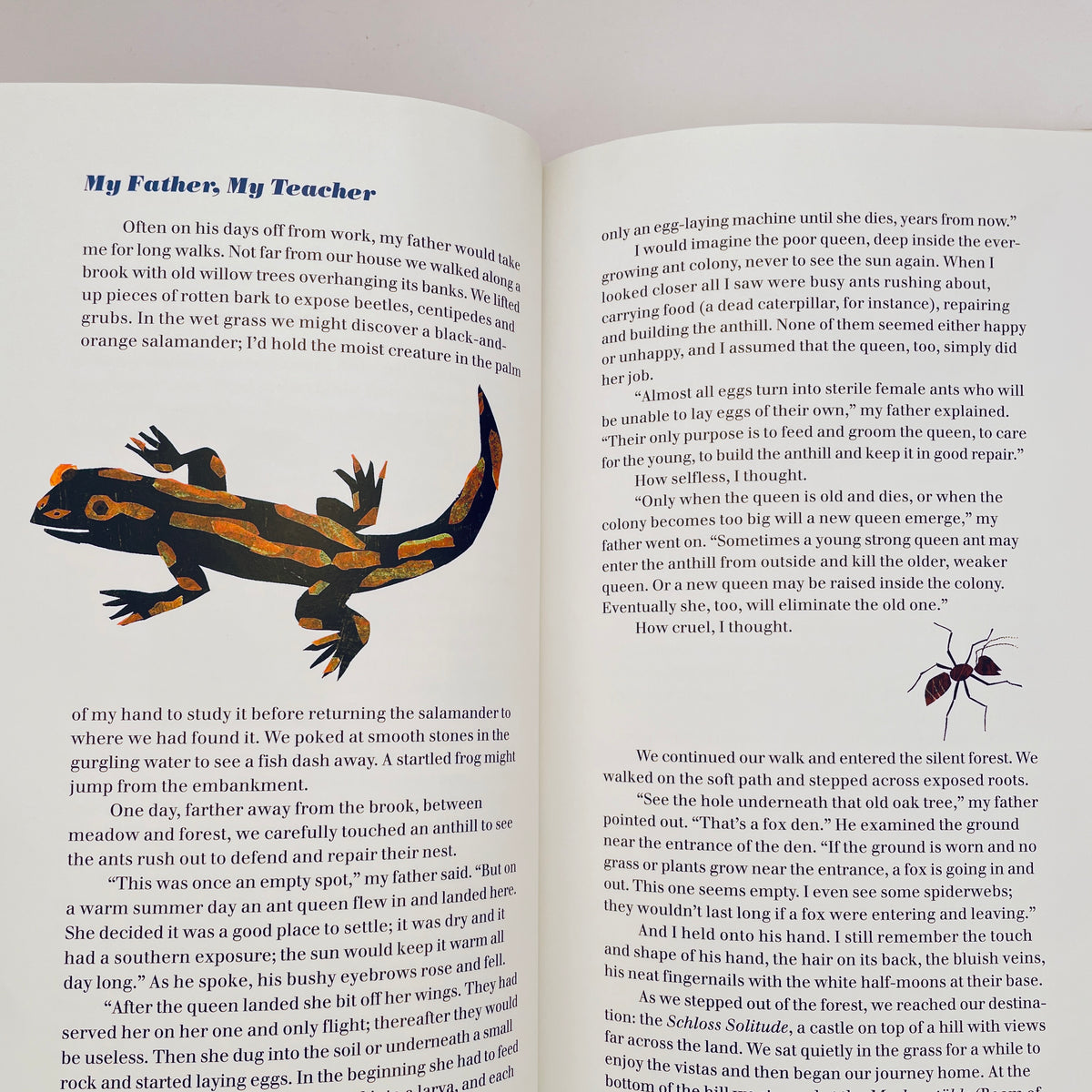 Flora and Tiger: 19 Very Short Stories from My Life