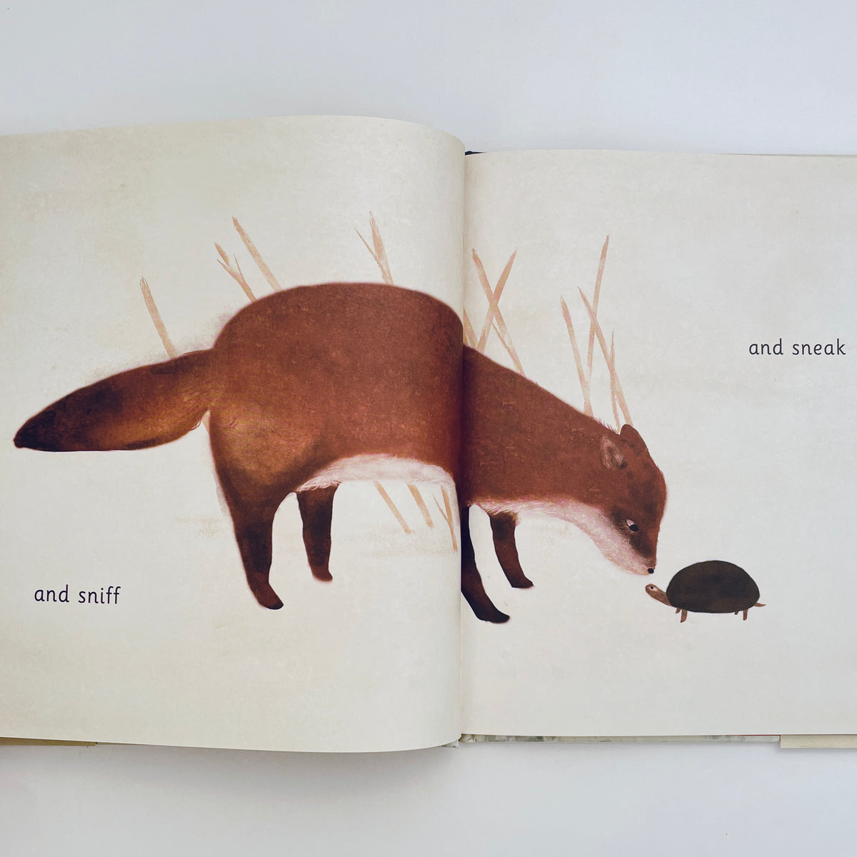 We All Play (English–Cree)