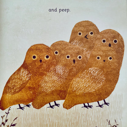 We All Play (English–Cree)