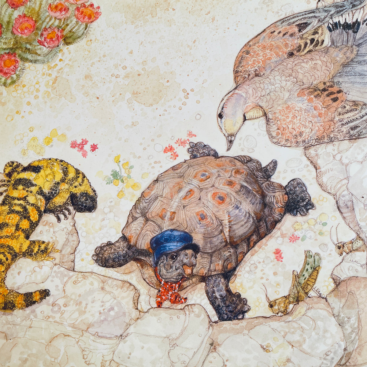 The Tortoise & the Hare