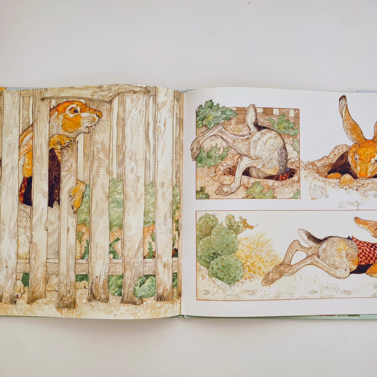 The Tortoise & the Hare