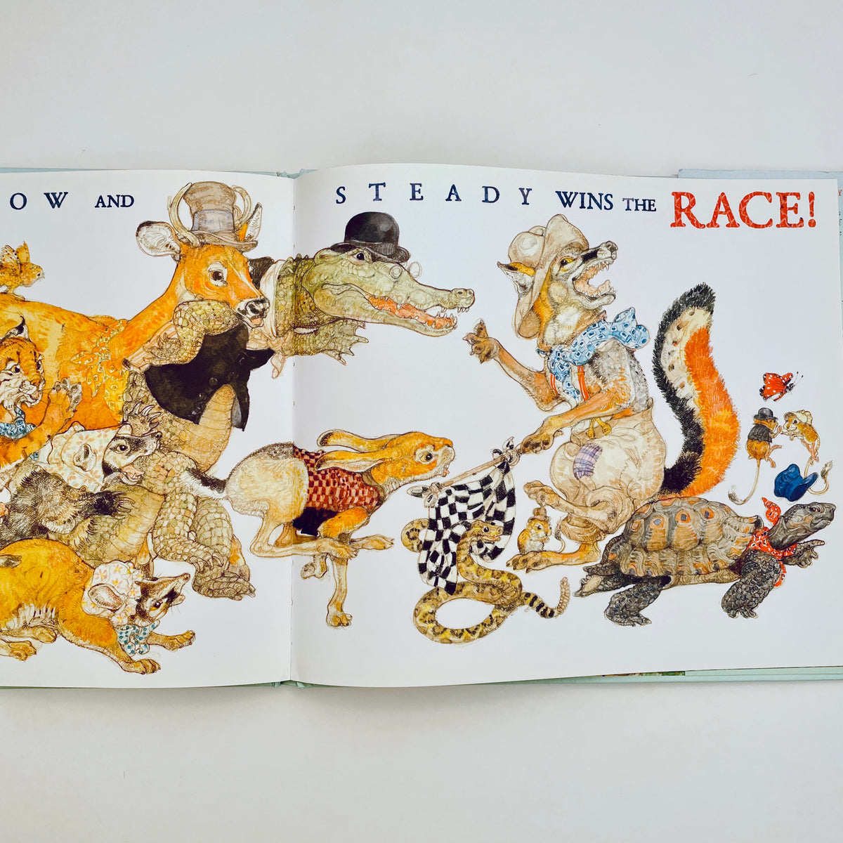 The Tortoise & the Hare