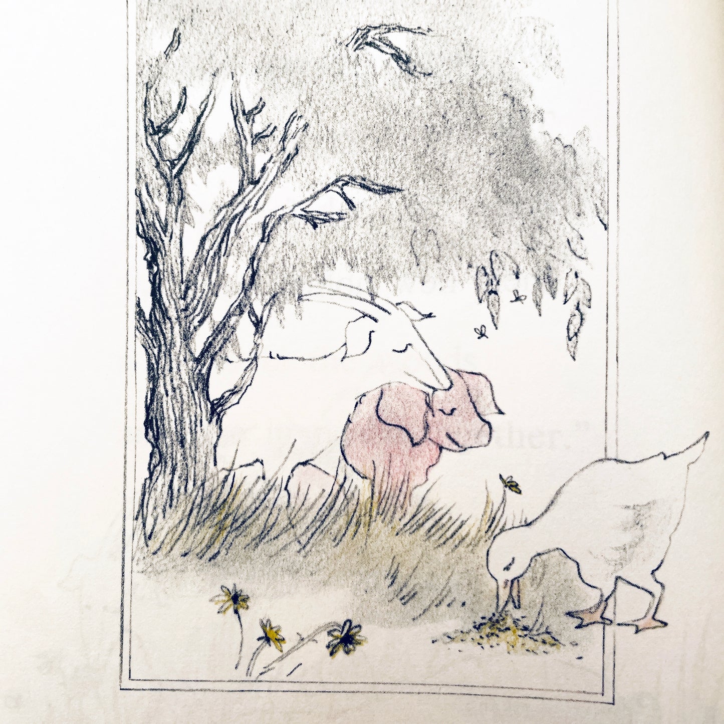 Billy Goat and His Well-Fed Friends