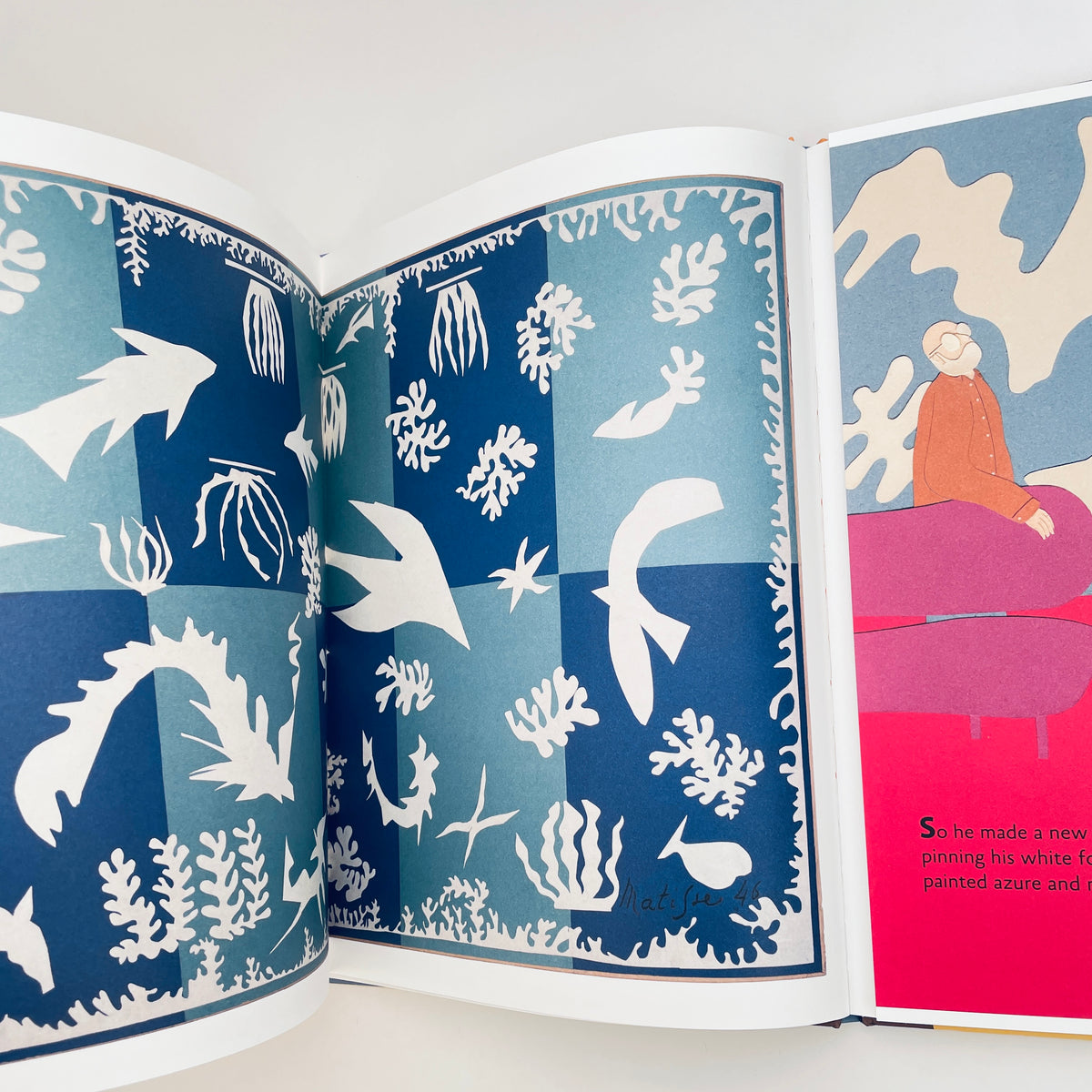 Matisse's Garden
