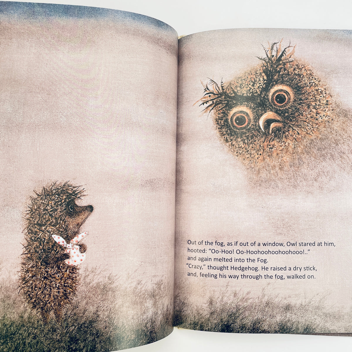 Hedgehog in the Fog