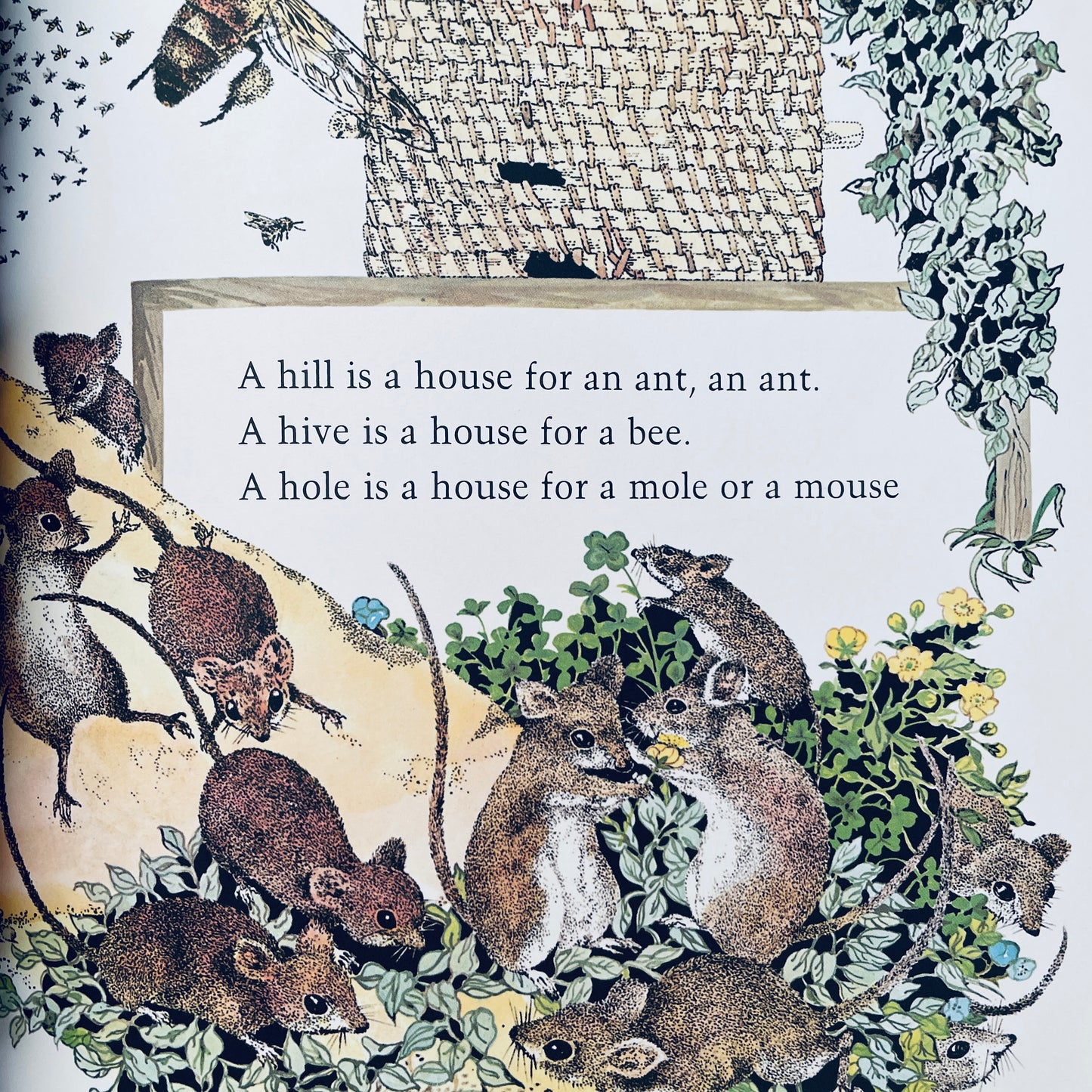 A House Is a House for Me