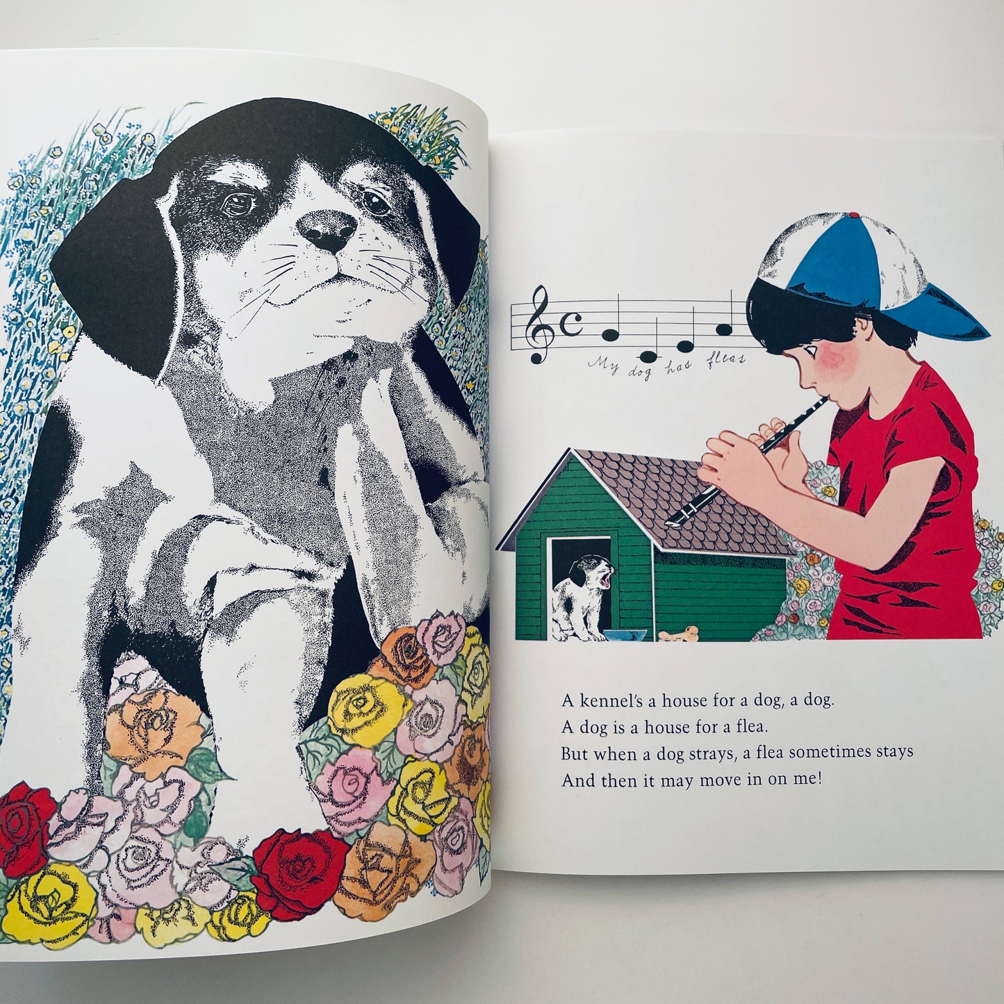 A House Is a House for Me