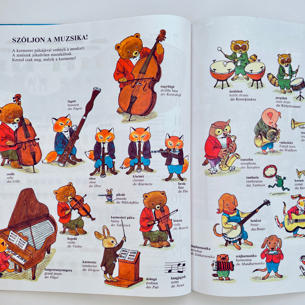 Tesz-Vesz Szotar Richard Scarry (Busytown Dictionary–Hungarian)