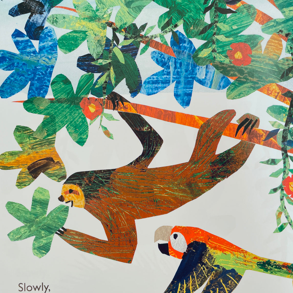 "Slowly, Slowly, Slowly," Said the Sloth