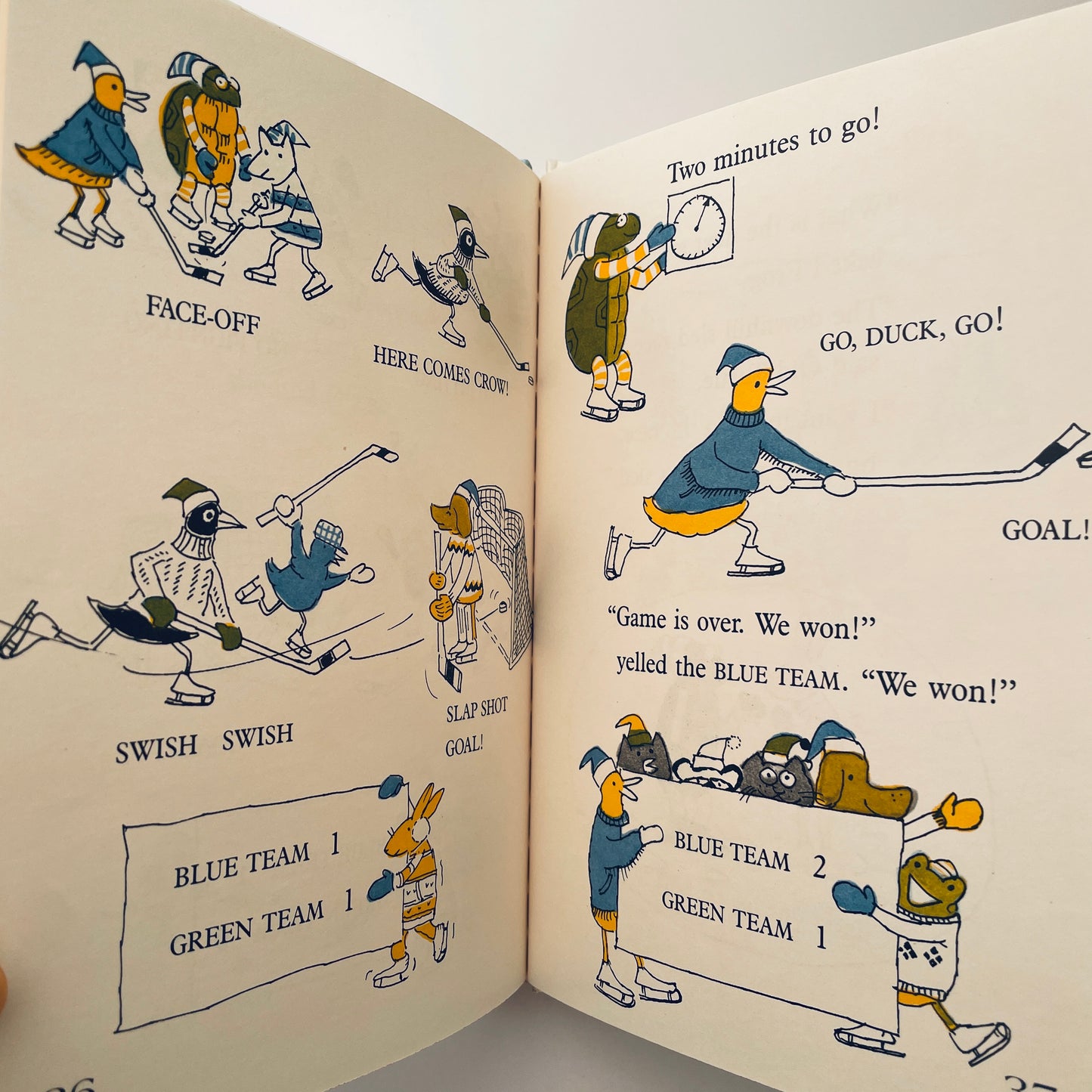 Old Turtle's Winter Games