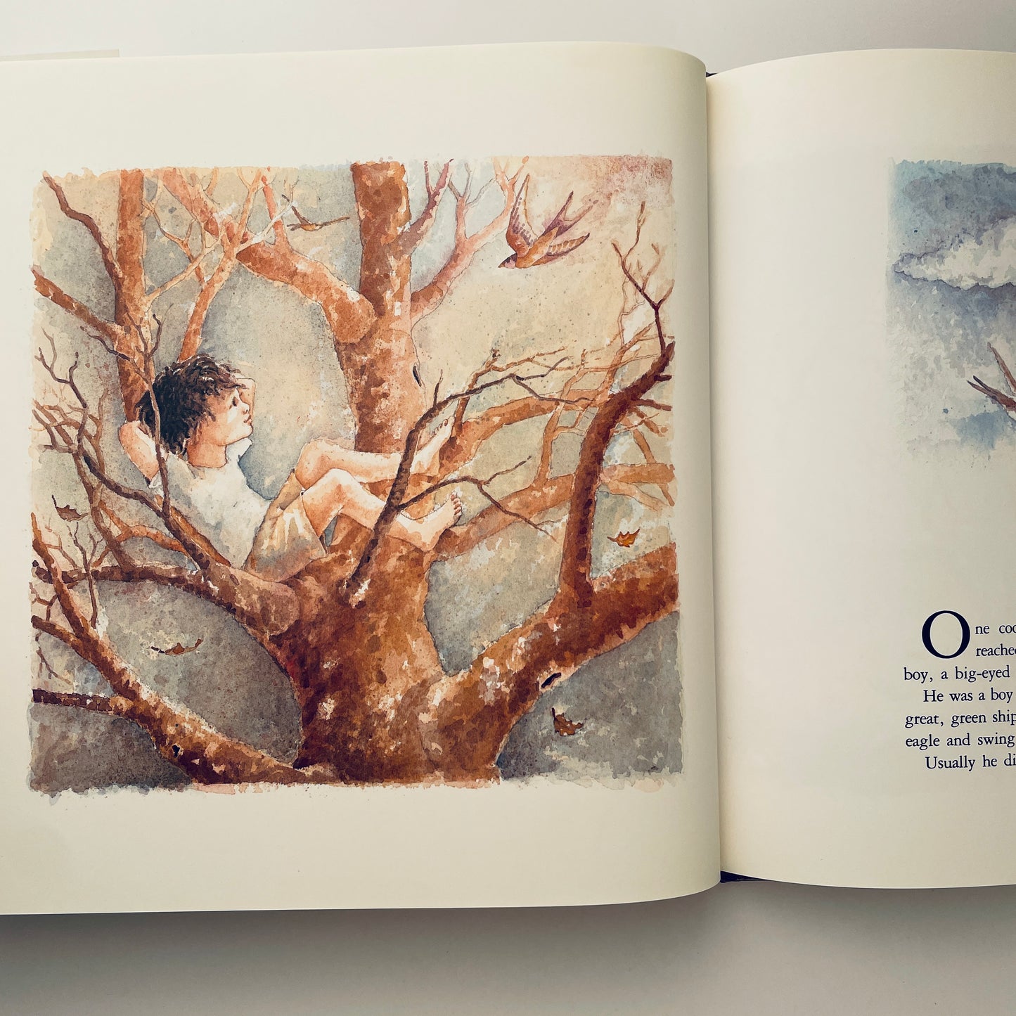 The Boy Who Ate the Moon