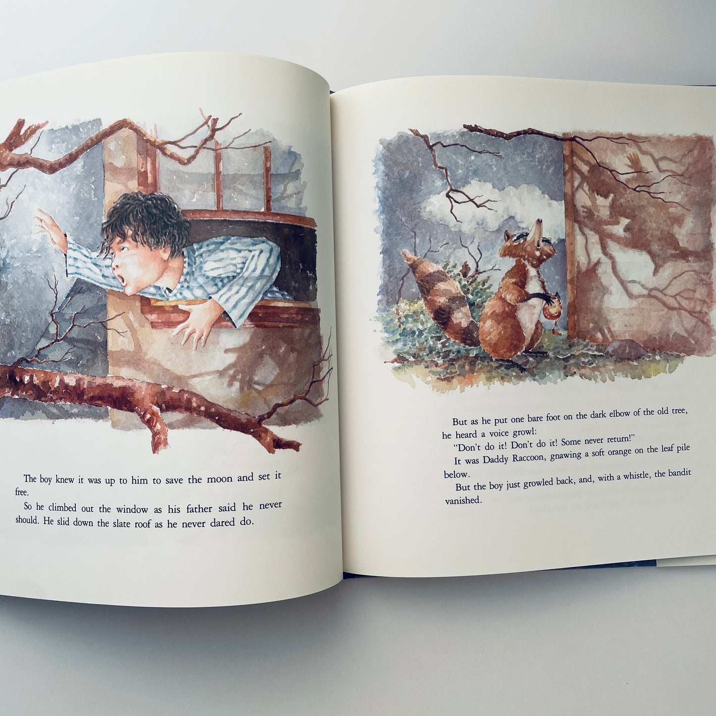 The Boy Who Ate the Moon