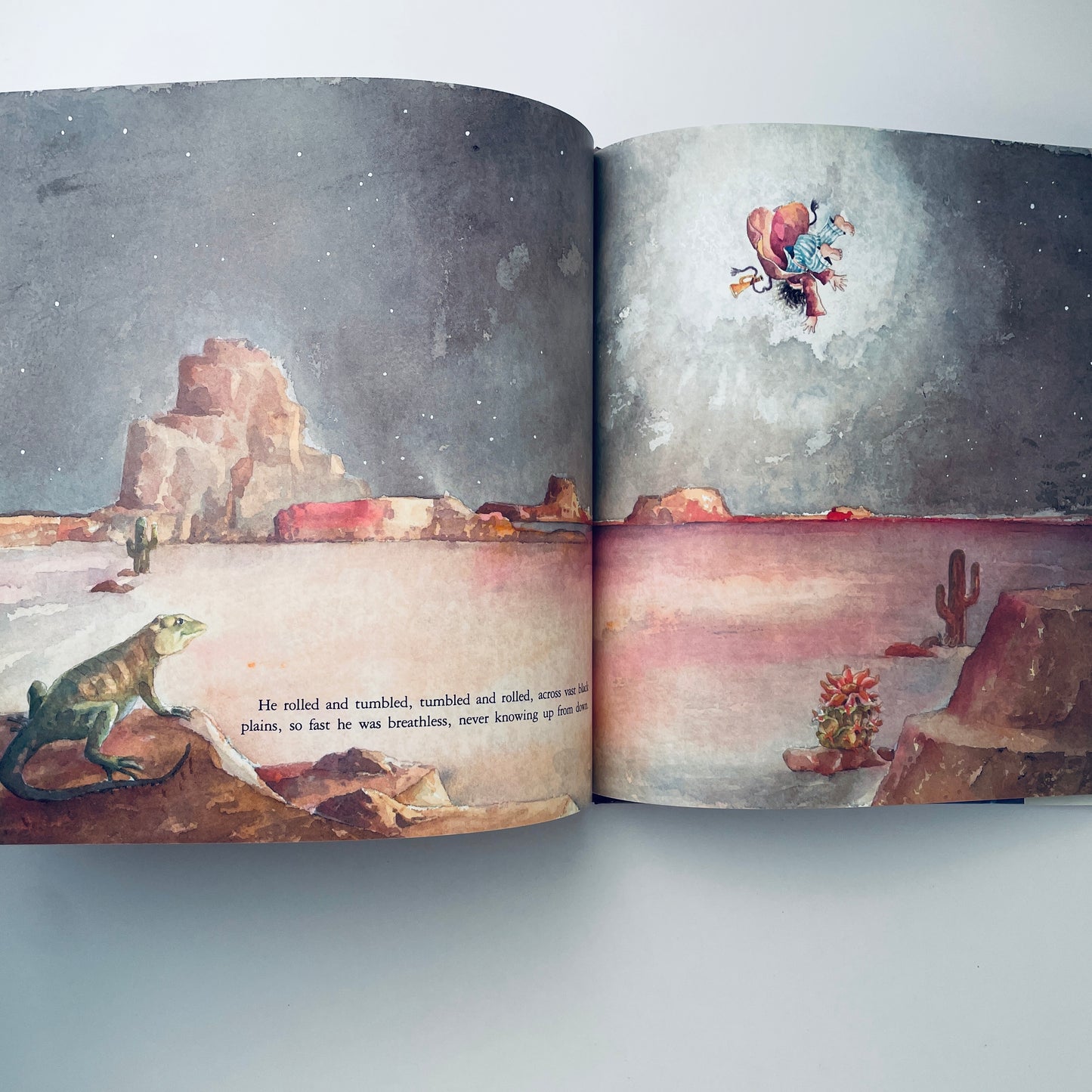 The Boy Who Ate the Moon