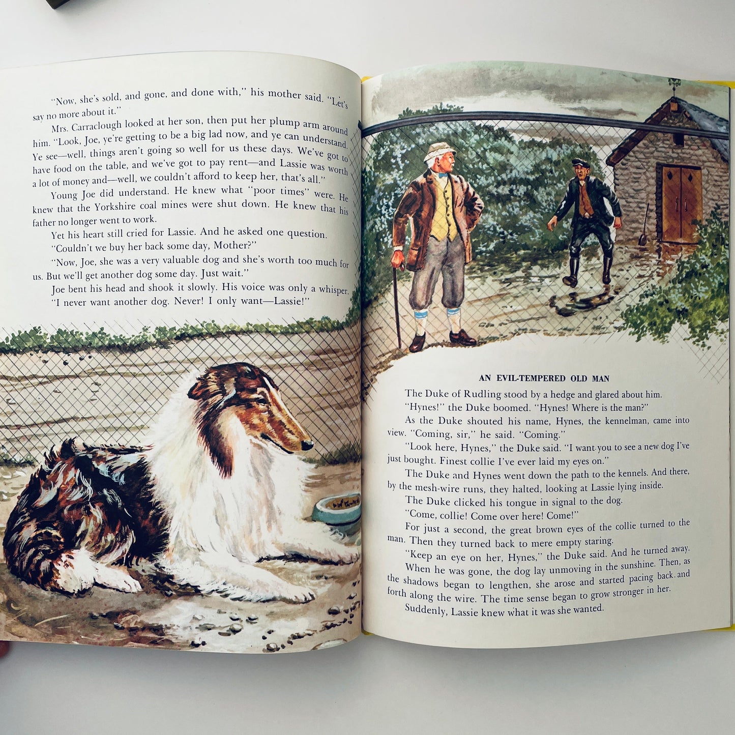 Lassie Come-Home