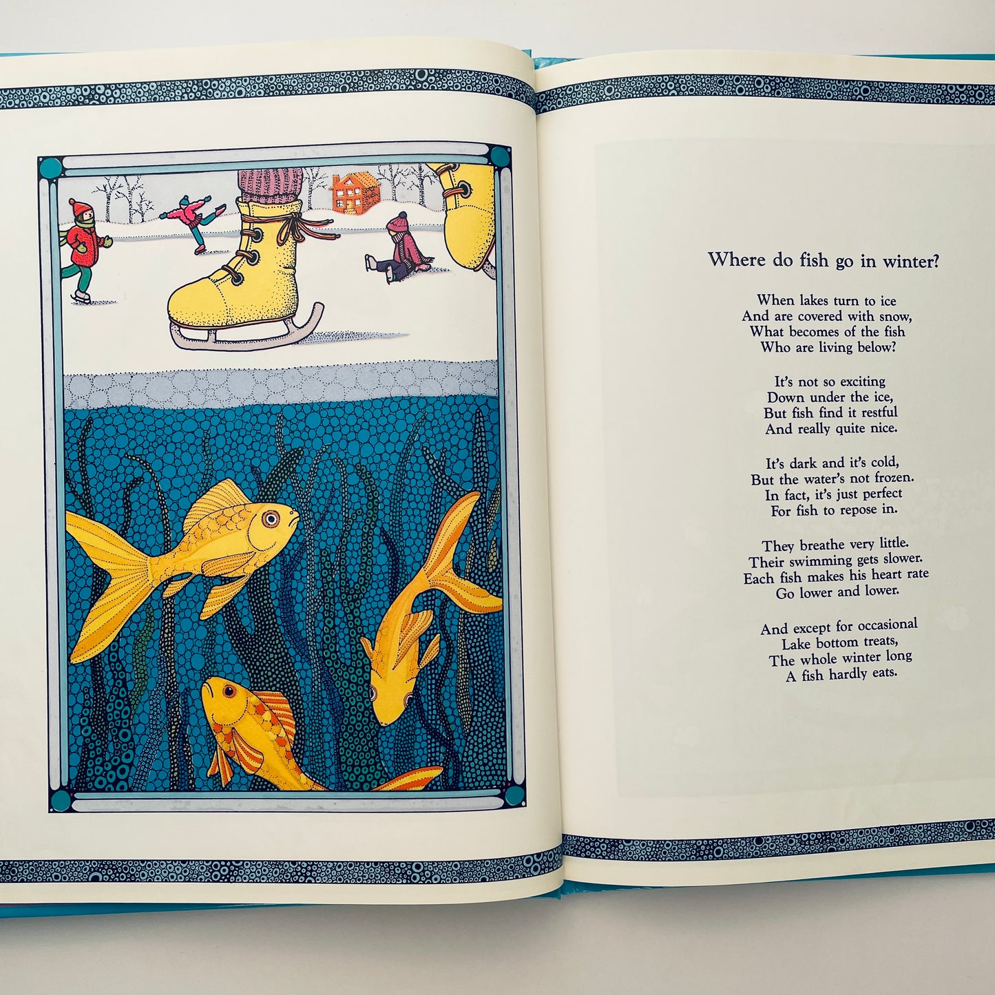 Where Fish Go in Winter (And Answers to Other Great Mysteries)