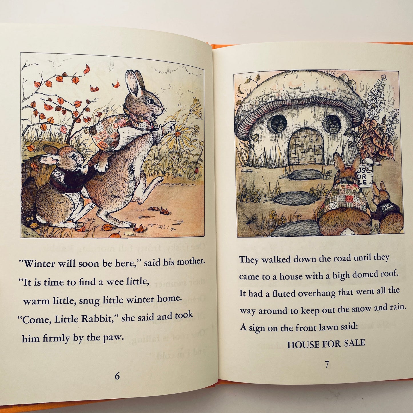 Rabbits' Search for a Little House