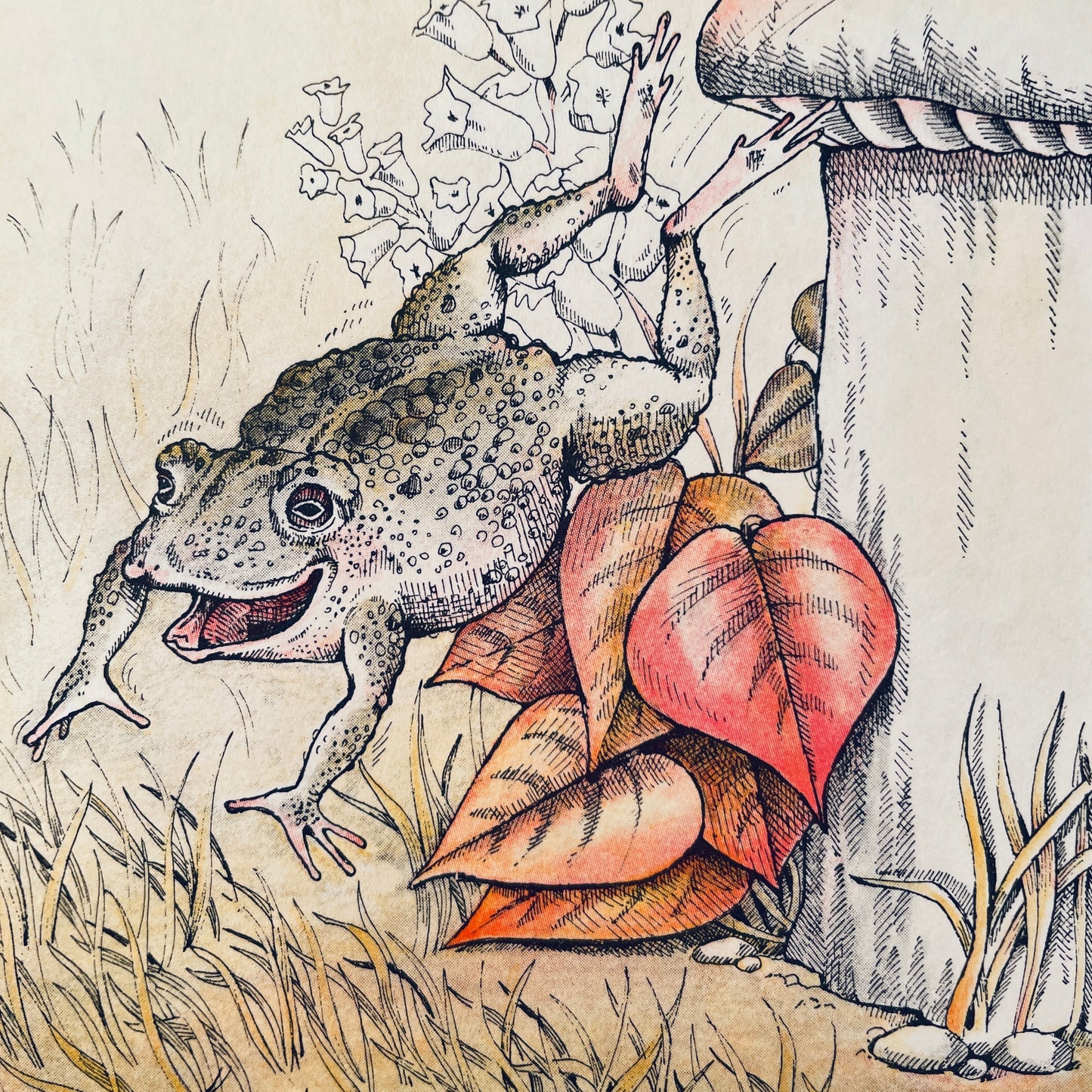 Rabbits' Search for a Little House