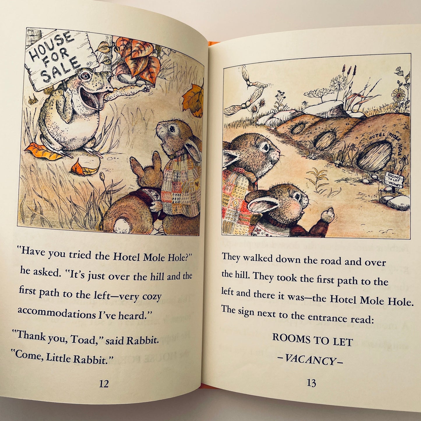 Rabbits' Search for a Little House