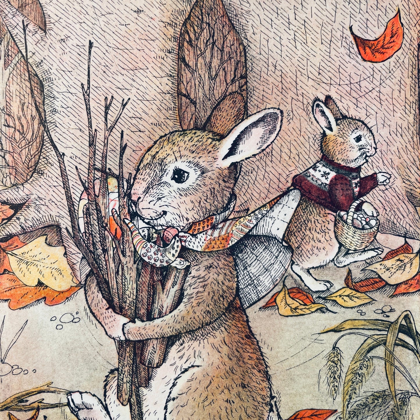 Rabbits' Search for a Little House