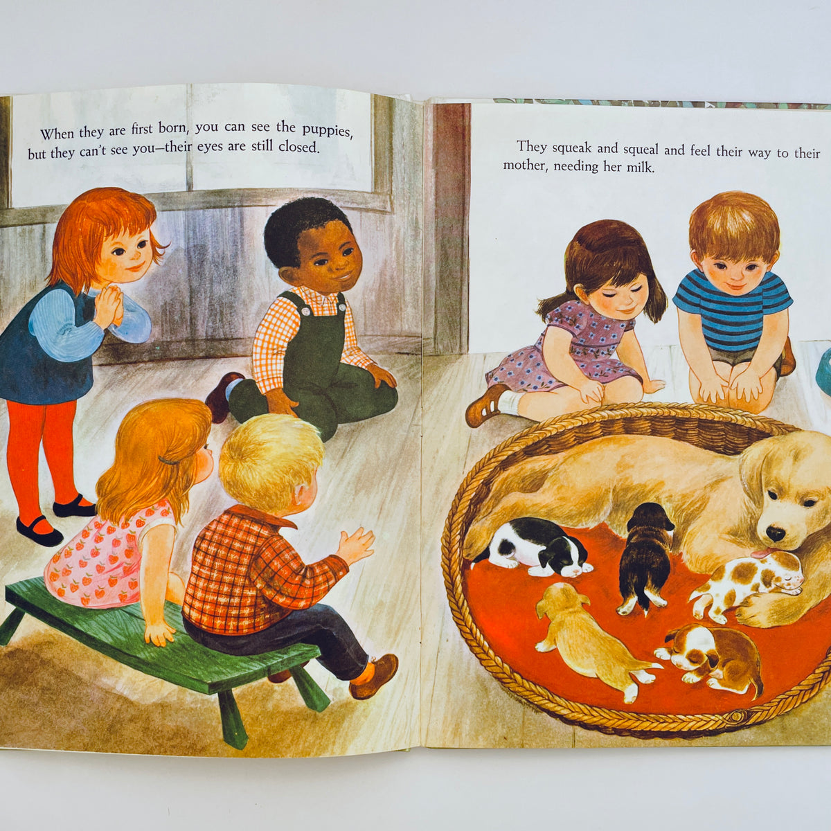Whatever Happens to Puppies?