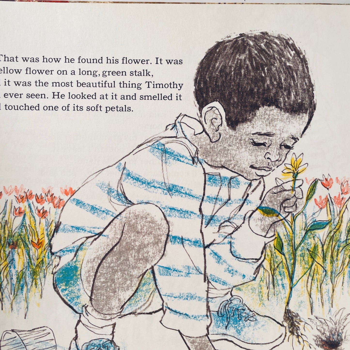 Timothy's Flower