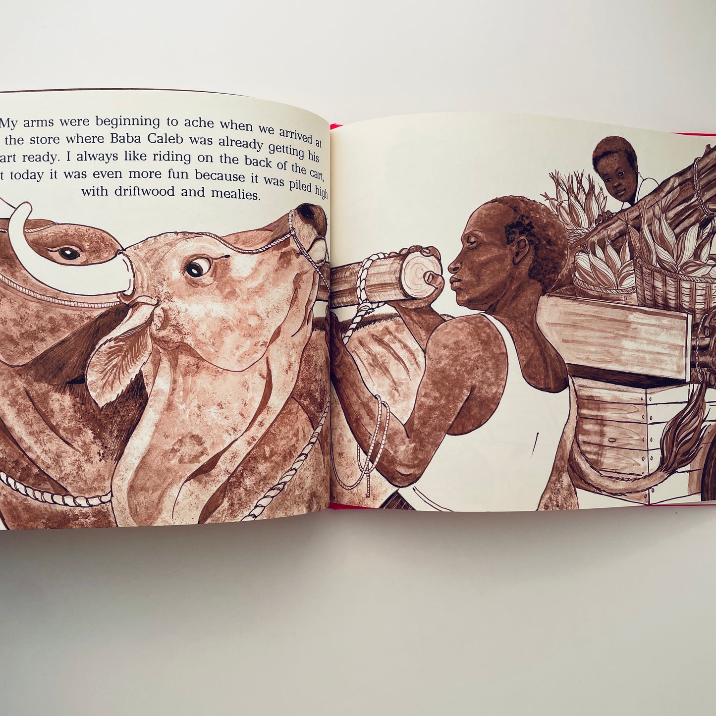 Jafta – The Journey