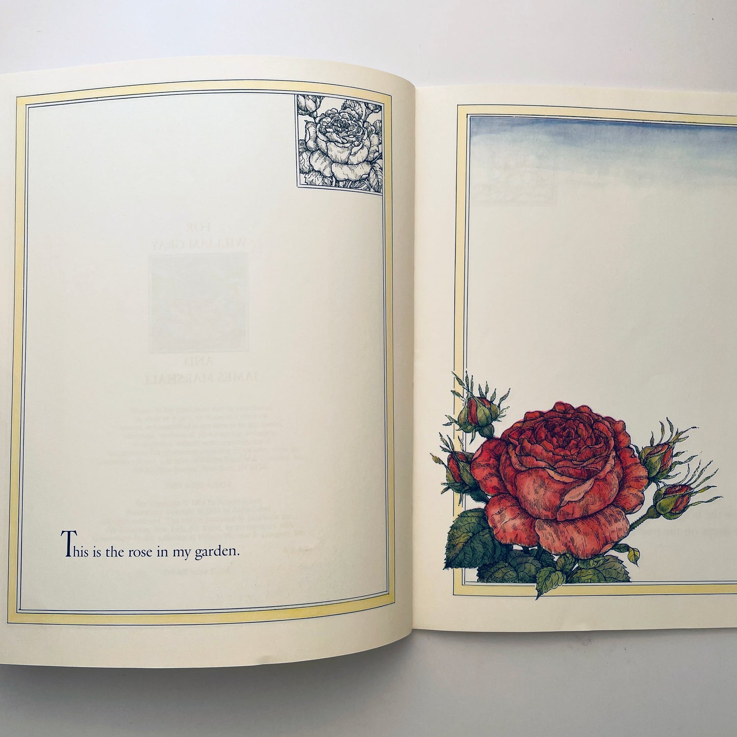 The Rose in My Garden