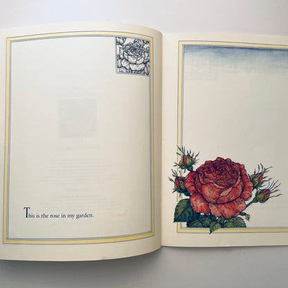 The Rose in My Garden