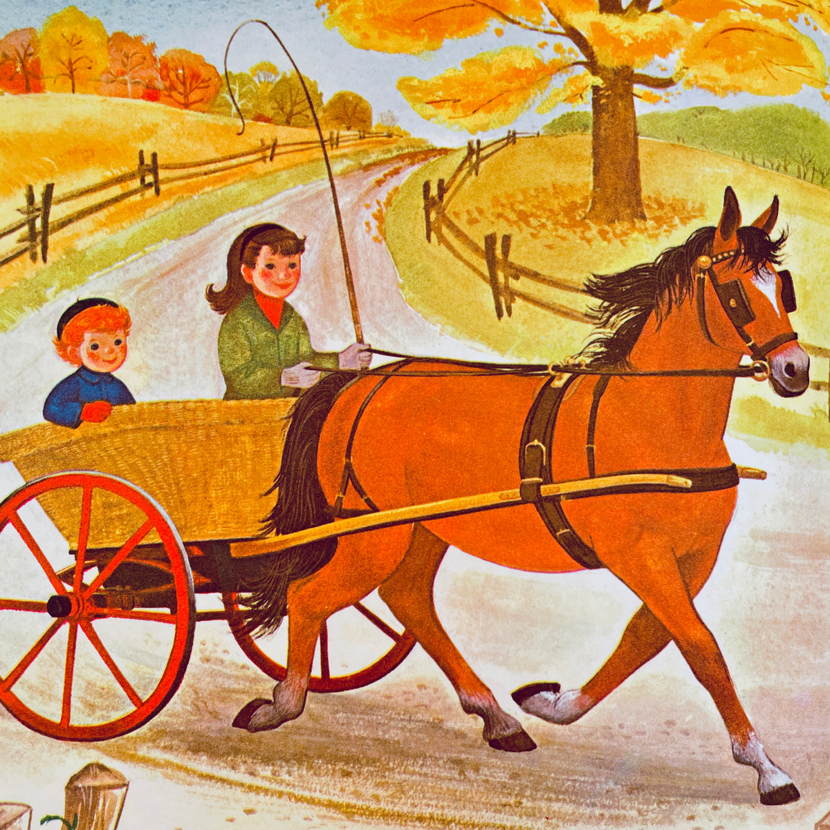 Whatever Happens to Baby Horses?