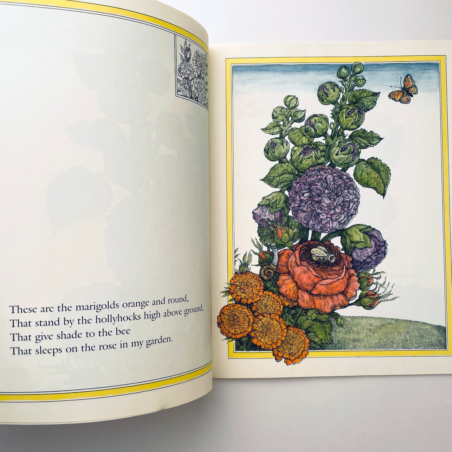 The Rose in My Garden