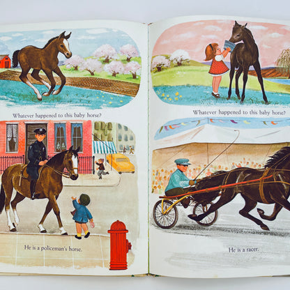 Whatever Happens to Baby Horses?