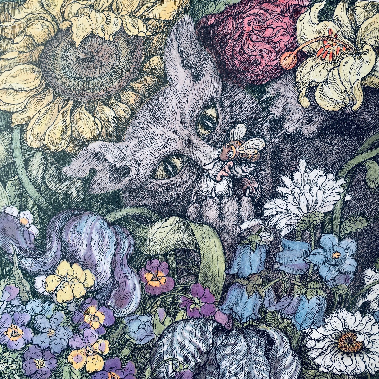 The Rose in My Garden