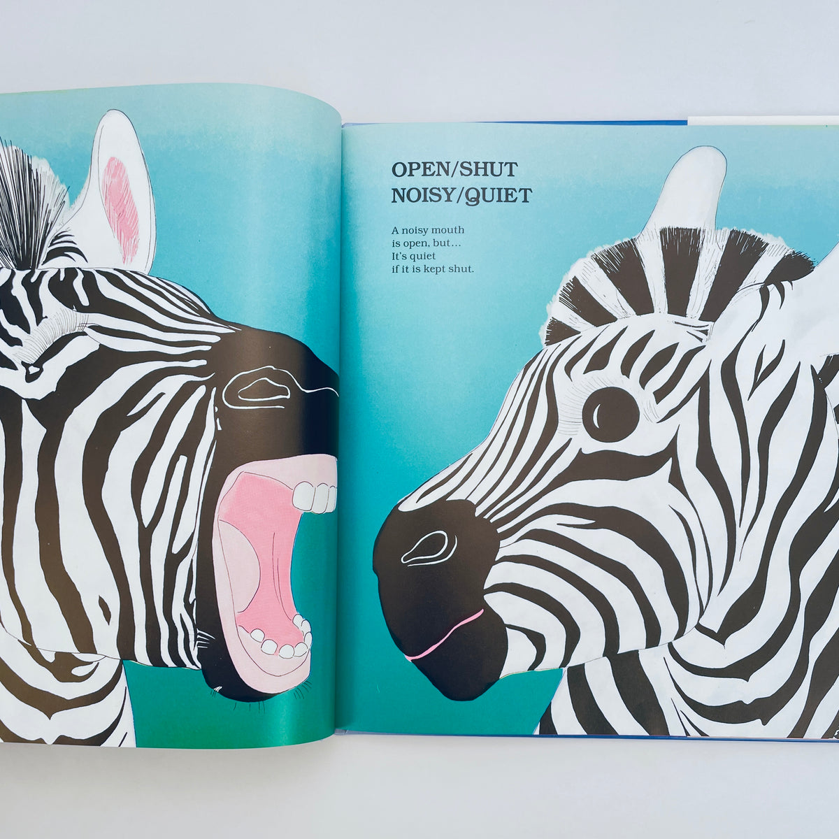 Demi's Opposites: An Animal Game Book