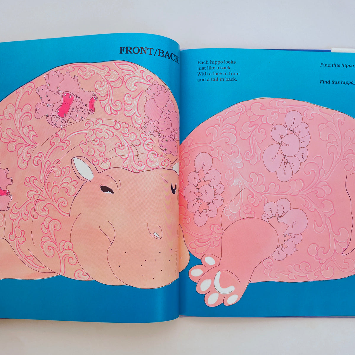 Demi's Opposites: An Animal Game Book