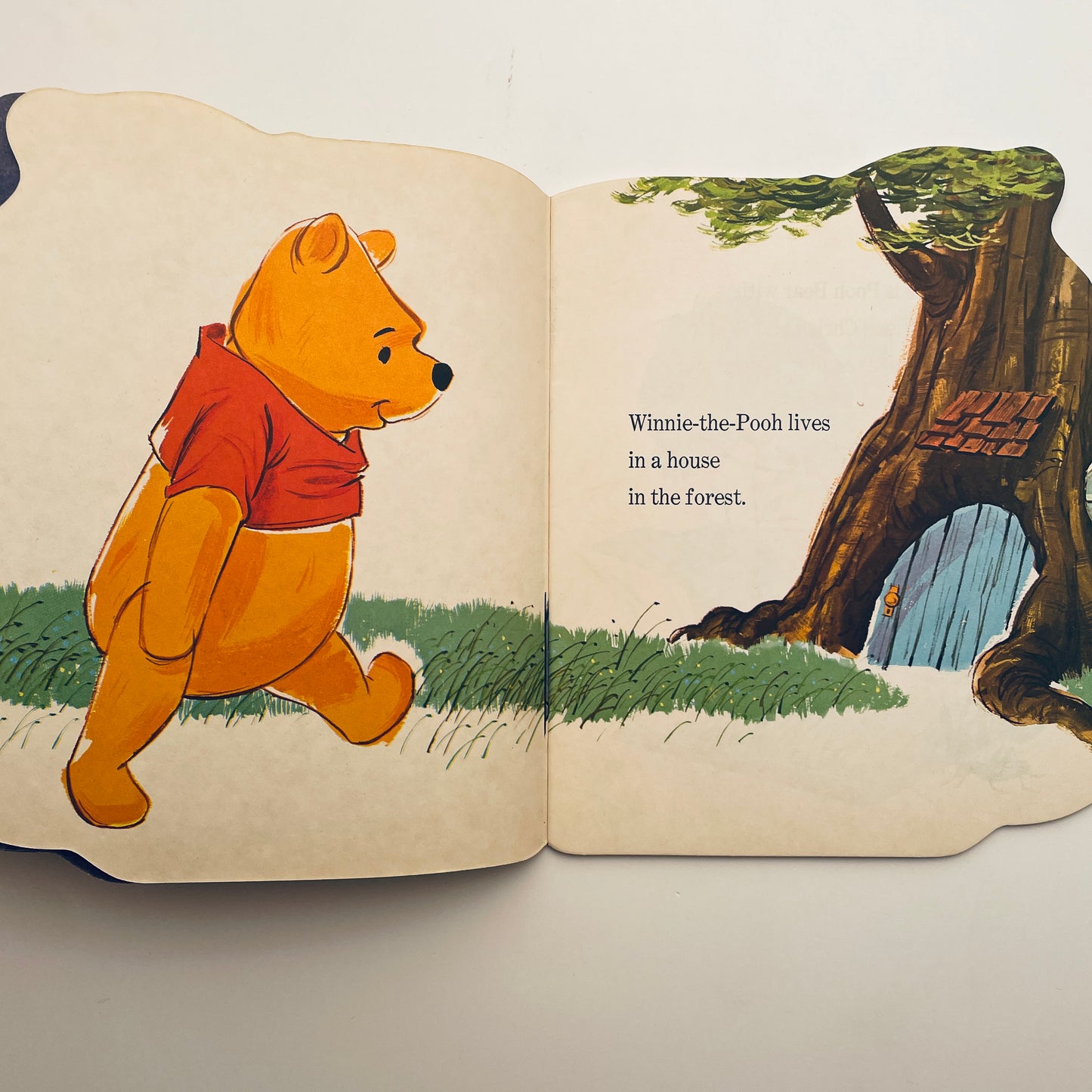 The Winnie-the-Pooh Book