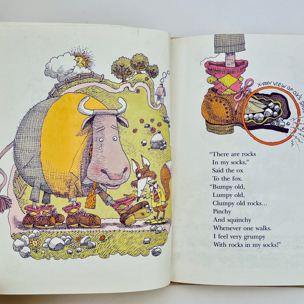 "There Are Rocks in My Socks!" Said the Ox to the Fox