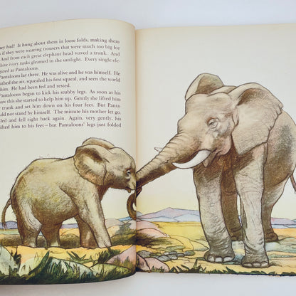 Pantaloons: Adventures of a Baby Elephant