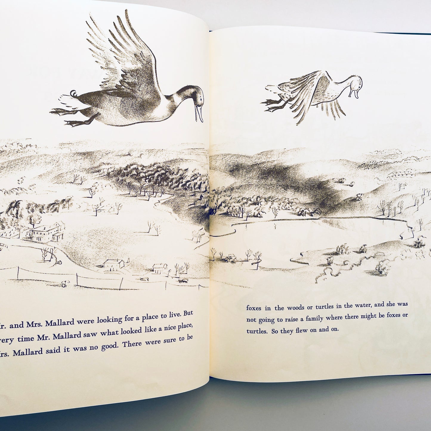 Make Way for Ducklings