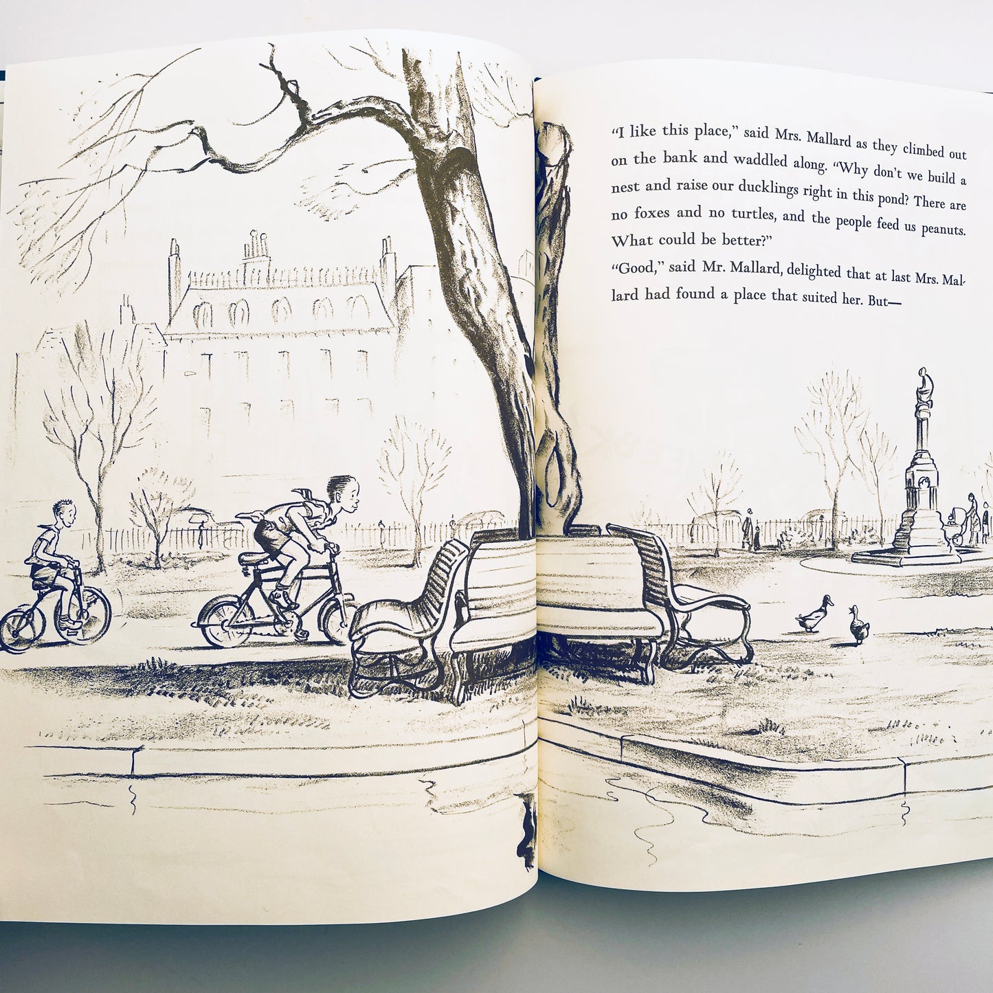 Make Way for Ducklings