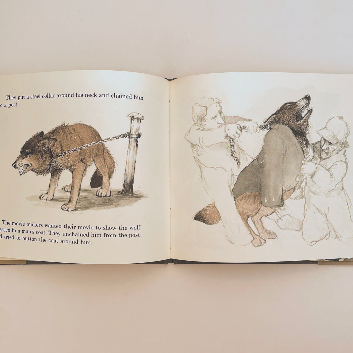 A Wolf Story