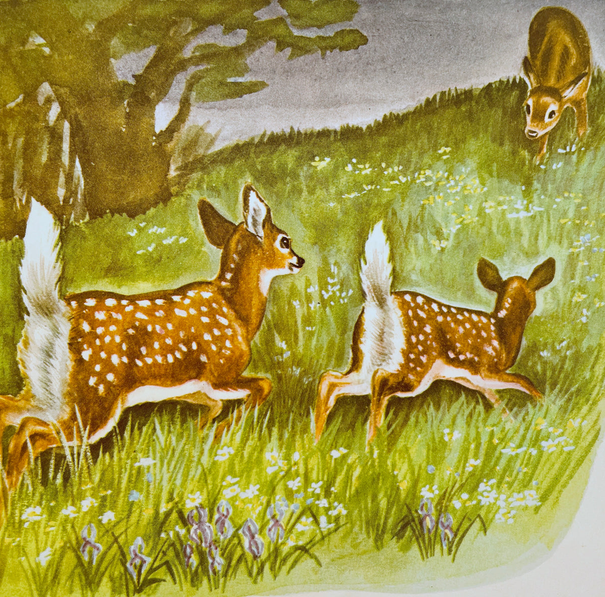 Bambi’s Children