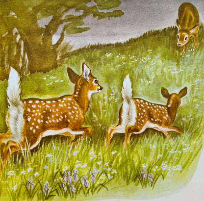 Bambi’s Children