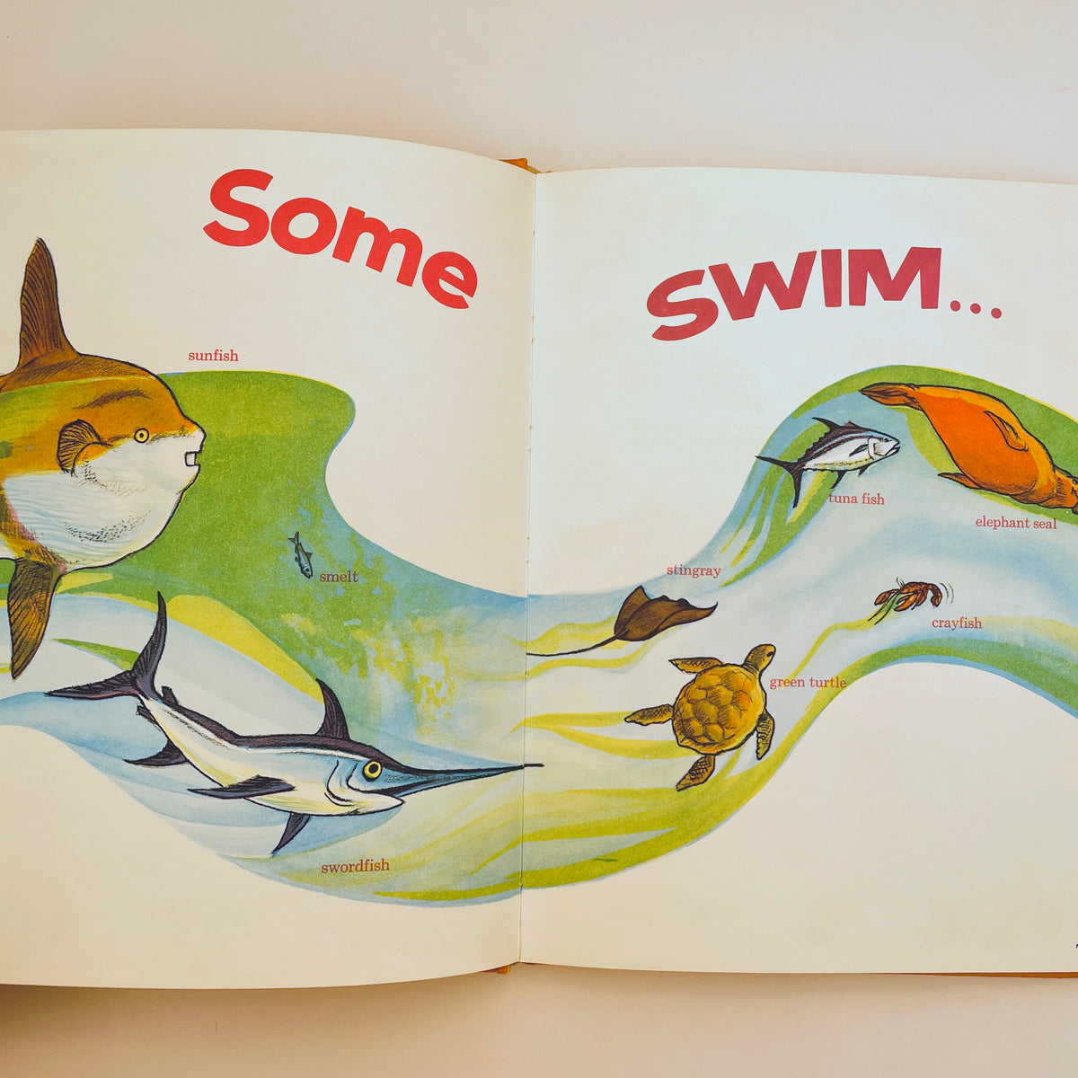 Some of Us Walk, Some Fly, Some Swim
