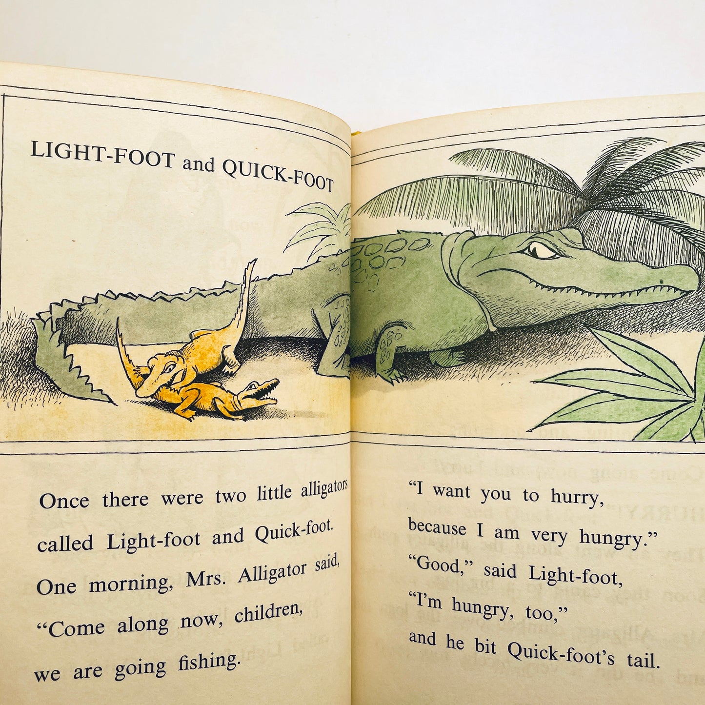 No Fighting, No Biting!