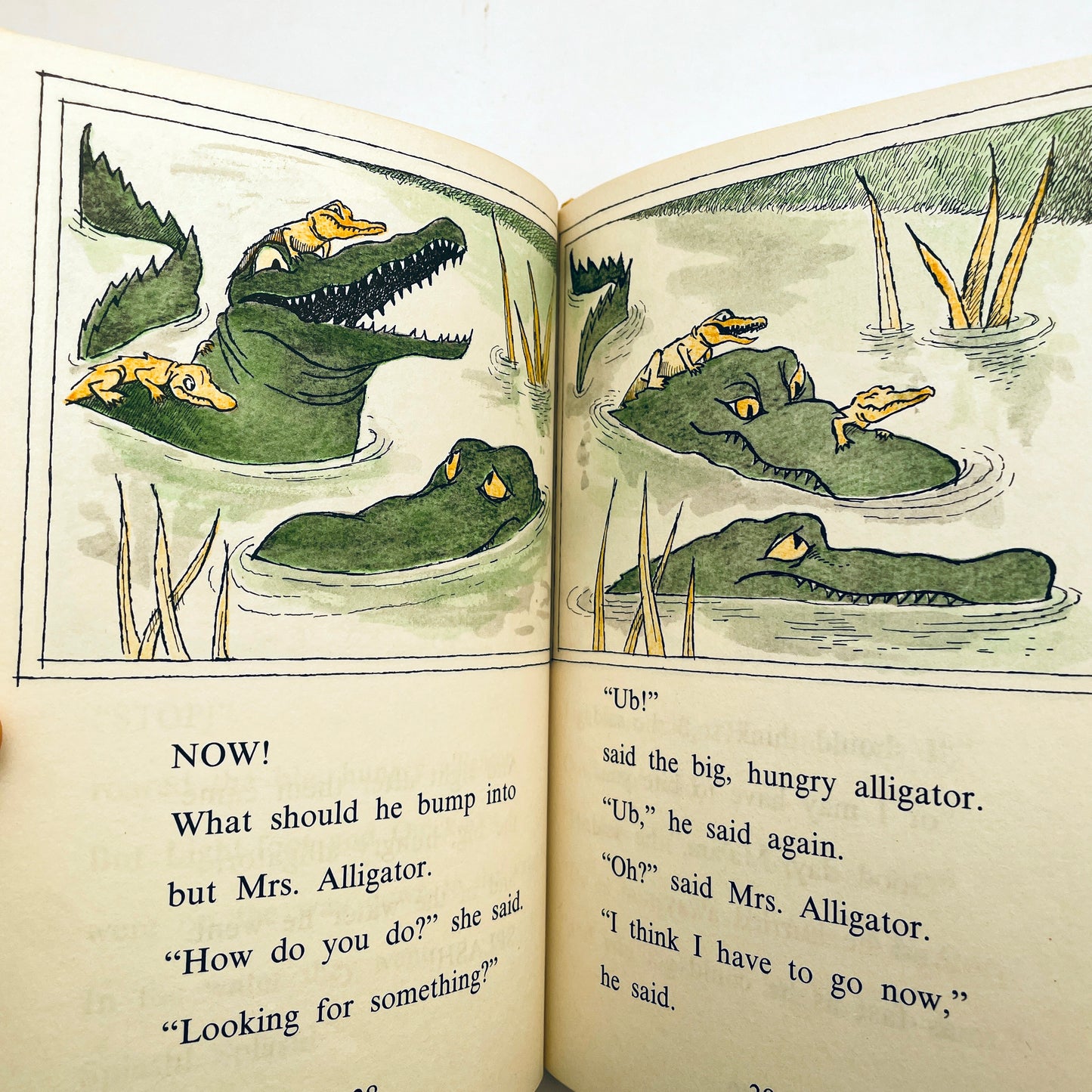 No Fighting, No Biting!